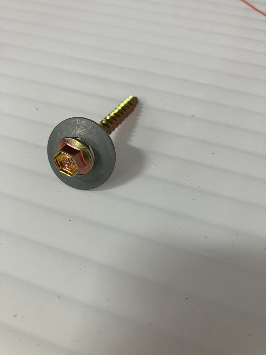 Screws with 1 in. Neoprene washer for metal (50 pcs)